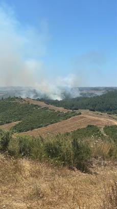 Adana'da anız yangınında alevler ormana sıçradı