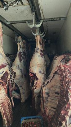 Sakarya'da 1,8 ton menşei belirsiz karkas et imha edildi