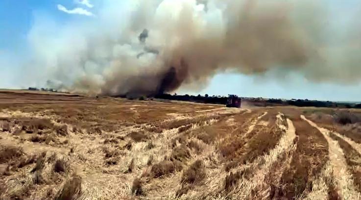 Edirne'de yangın; 200 dekar ekili alan zarar gördü