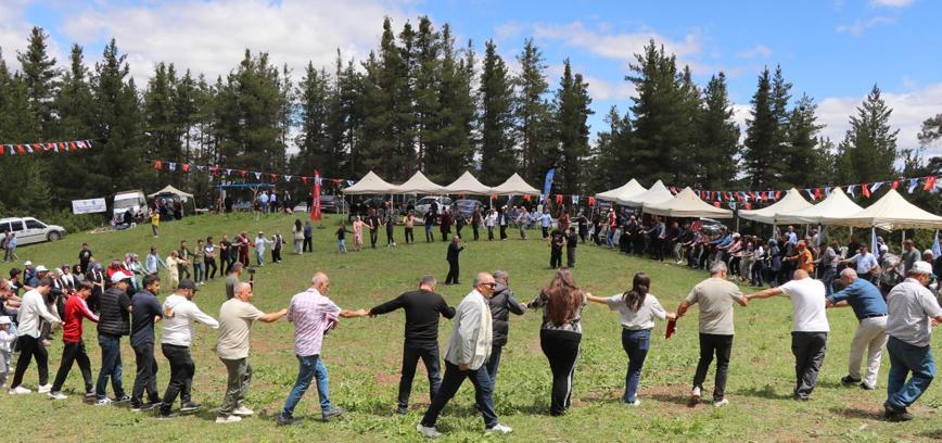 'Karnavas Dut Pekmezi Festivali renkli görüntülere sahne oldu