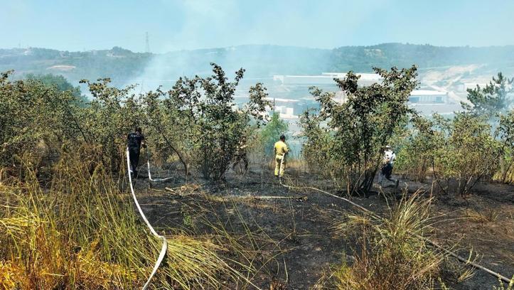 Zonguldak'ta anız yangını büyümeden söndürüldü