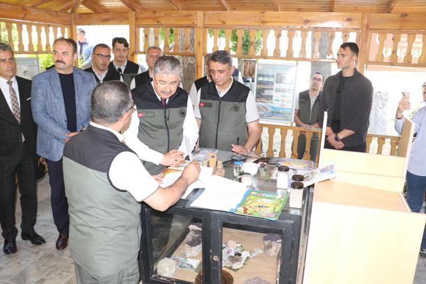 Bursa’da yanan ormanlar, Eskişehir’de üretilen fidanlarla yeşillenecek