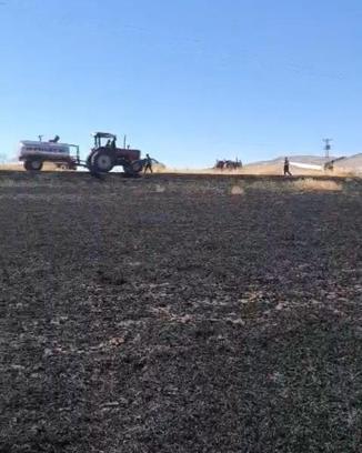 Diyarbakır’da 100 dönüm ekili buğday yandı