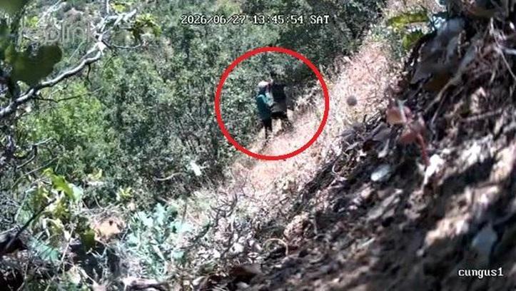 Kenevirlerin bakımını yaparken fotokapana yakalanan CHP ilçe başkanı ve oğluna gözaltı