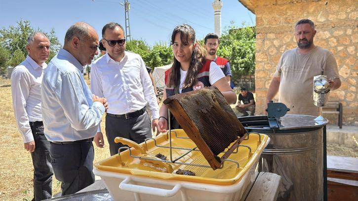 Ömerli'de arıcılık projesinde ilk bal hasadı yapıldı