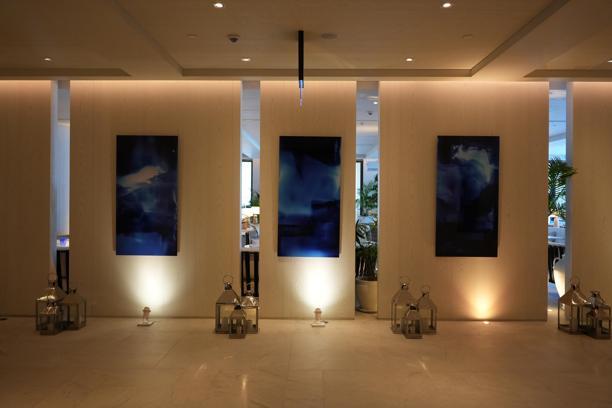 VISION Art Platform ve The Bodrum EDITION'dan çağdaş sanat alanında iş birliği