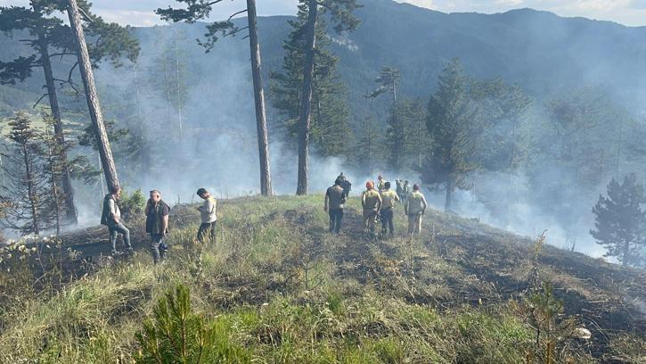 Kastamonu'da orman yangını