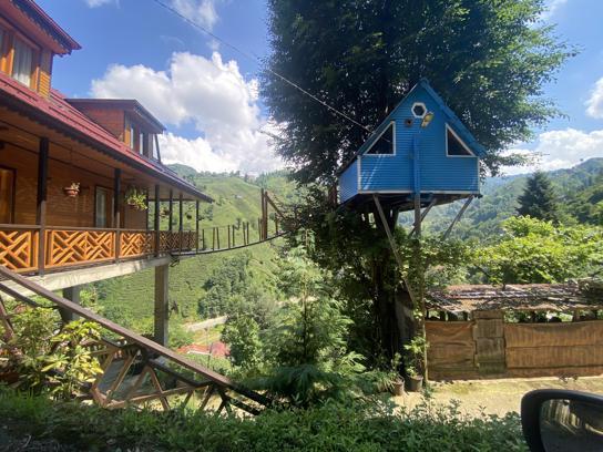 Rize'de iki kardeşin ağaç evine balkondan asma köprüyle ulaşım