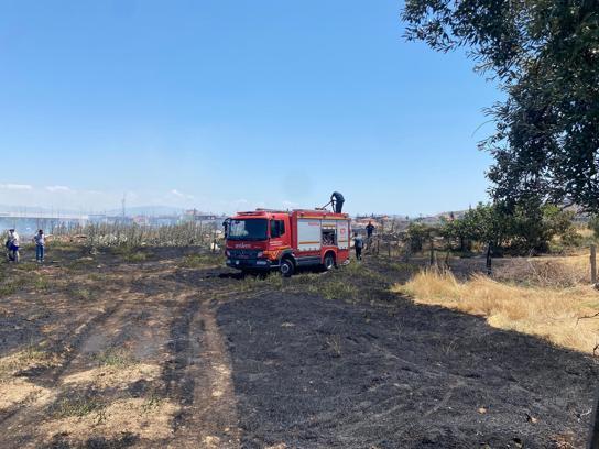 Manisa'da ot yangınında 50 dönüm alan zarar gördü
