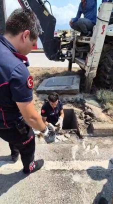 Mazgala düşen kedi itfaiye tarafından kurtarıldı