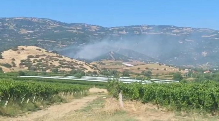 Manisa'da maki yangınında alevler ormana sıçradı
