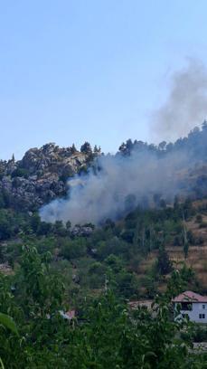 Alanya'da zirai alanda çıkan yangın söndürüldü