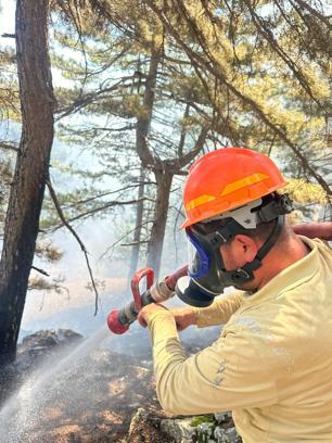 Saimbeyli'de orman yangını büyümeden söndürüldü
