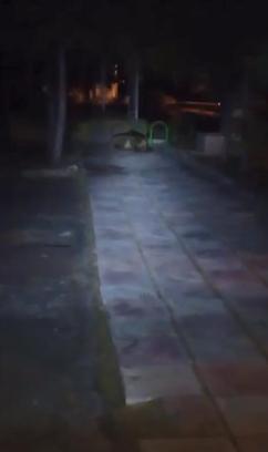 Çocuk parkında bozayı görüntülendi