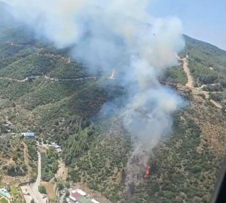 İzmir’de orman yangını