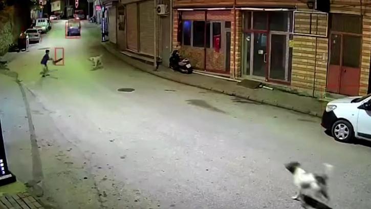 Ordu'da skuterlı çocuk köpeklerin saldırısına uğradı; o anlar kamerada