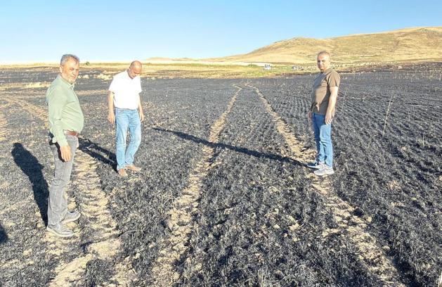 Arpa tarlasında çıkan yangında 100 dekar ekili alan zarar gördü