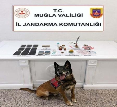 Muğla'da uyuşturucu operasyonlarında 5 tutuklama