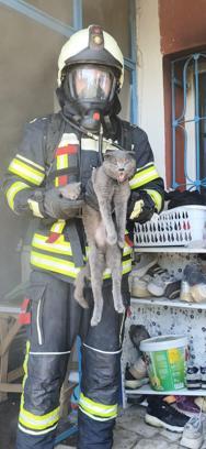 Kayseri’de yanan evde mahsur kalan 6 kedi kurtarıldı
