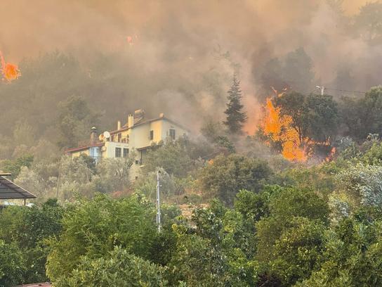 Muğla'daki orman yangınında alevler evlere ulaştı
