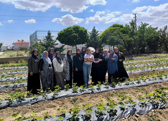 ADEM projesiyle çilek üretimi