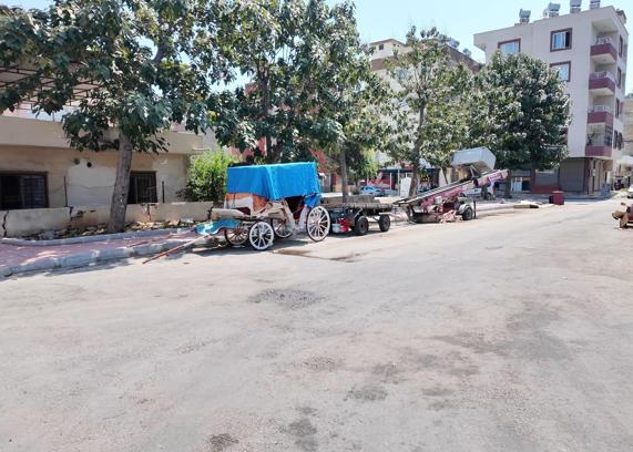 Mersin’de bitkin düşen at kurtarıldı