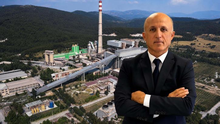 Milas'ta bilimsel yöntemlerle taşınan zeytin ağaçları, bir yıl dolmadan yeniden meyve vermeye başladı