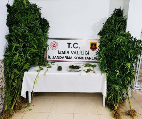 İzmir'de uyuşturucu operasyonunda 1 tutuklama