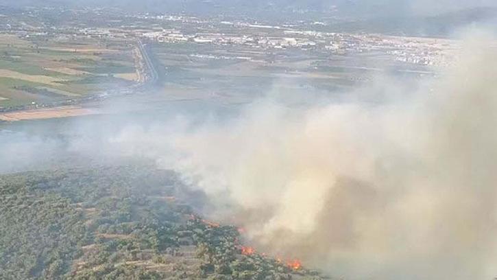 İzmir’de orman yangını