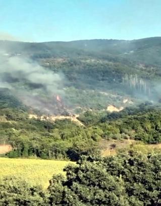Tekirdağ'da anız yangını ormana sıçradı, 3 saatte kontrol altına alındı
