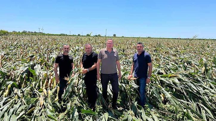 Mersin'de fırtınada 3 bin dönüm mısır zarar gördü