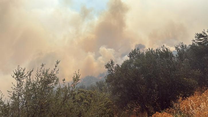 Çanakkale'de arazi yangını
