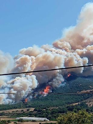 Çanakkale'de orman yangını