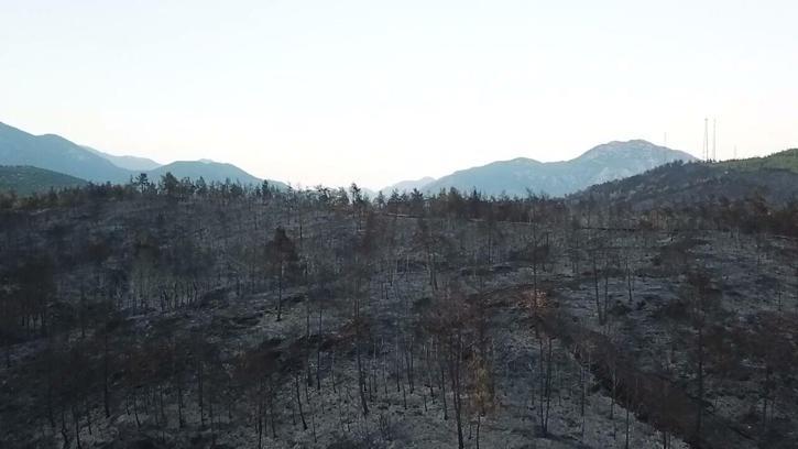 Muğla’daki yangınlarda 5 bin hektardan fazla alan zarar gördü