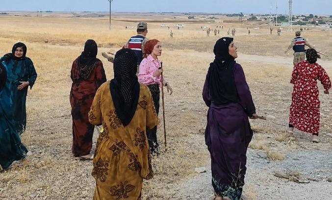 İki aile arasında pamuk tarlasında taşlı sopalı kavga; 8 yaralı