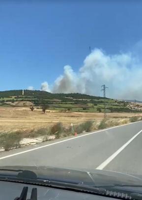 Balıkesir Susurluk’ta orman yangını