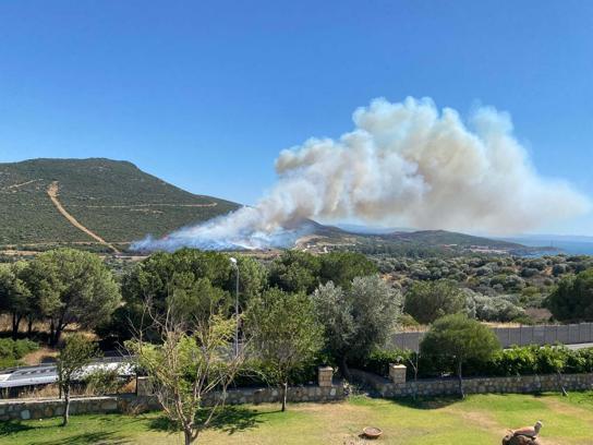 İzmir Foça'da orman yangını