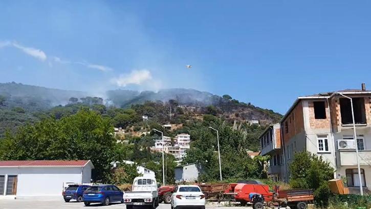 Marmara Adası’nda orman yangını (3)