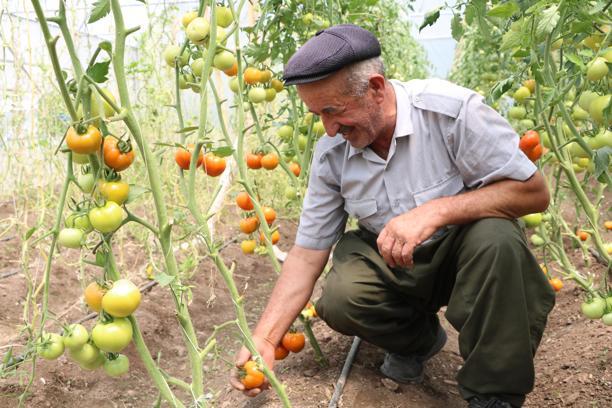 Domates ve salatalık satarak 9 çocuk büyüttü
