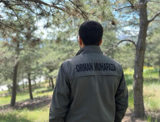KDK'dan, diyabet hastası orman muhafaza memuru için 'açık arazide çalışmasın' tavsiye kararı