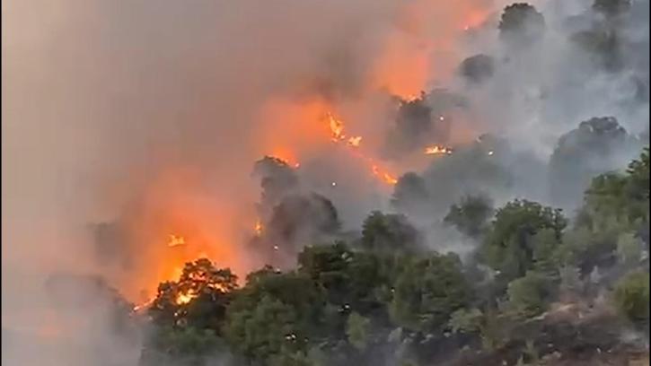 Elazığ'da orman yangını