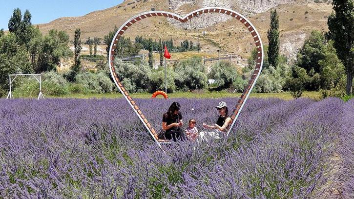 Emeklilikte yaşadığı boşluğu lavanta bahçesi ile doldurdu