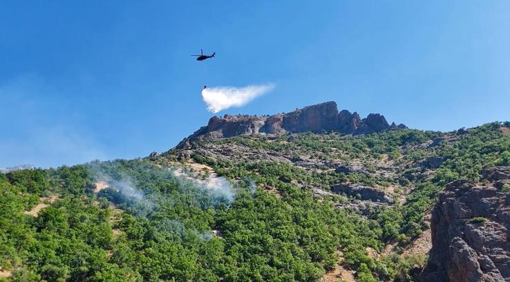 Munzur Vadisi Milli Parkı'ndaki yangın kontrol altına alındı