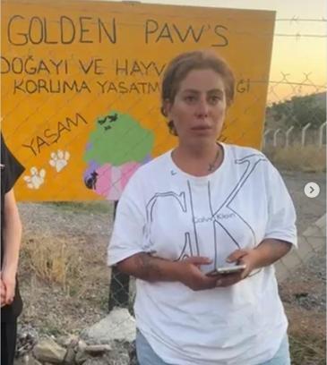 Hayvanları koruma derneği başkanının öldürülmesine ilişkin kardeşi aranıyor
