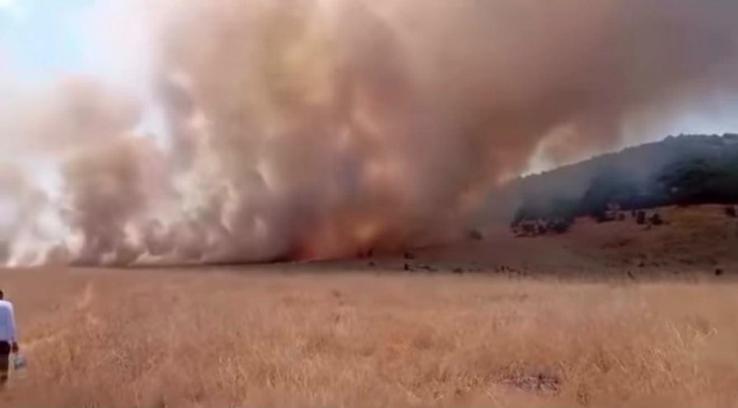 Tunceli'de ot yangını; alevlerin ormana sıçramaması için seferber oldular