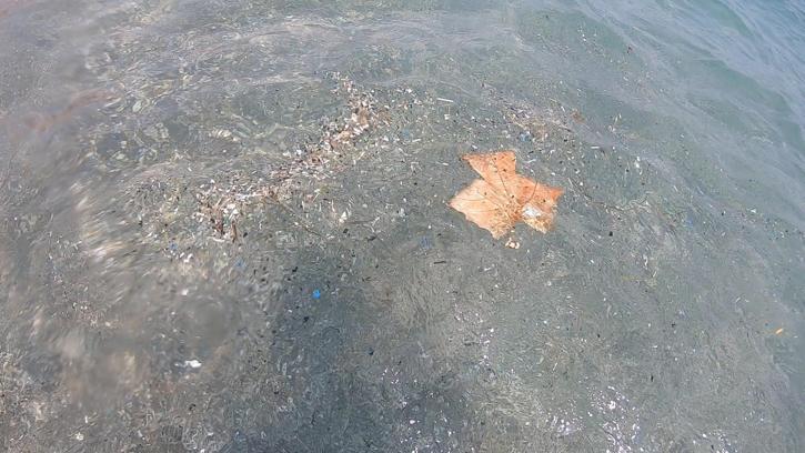 Antalya kıyılarında mikroplastik alarmı; canlıların ölümüne sebep olabiliyor