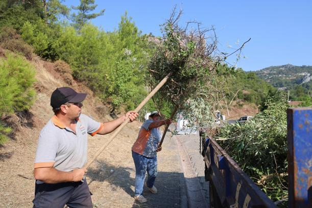 Marmaris'te yangın riskine karşı kapsamlı temizlik