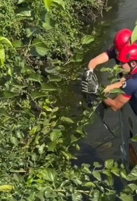 Ağaç dallarına takılan balıkçıl kuşunu itfaiye kurtardı