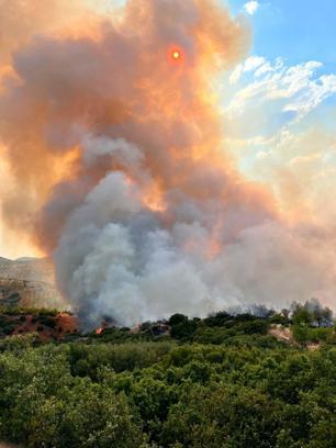 Manisa'da orman yangını