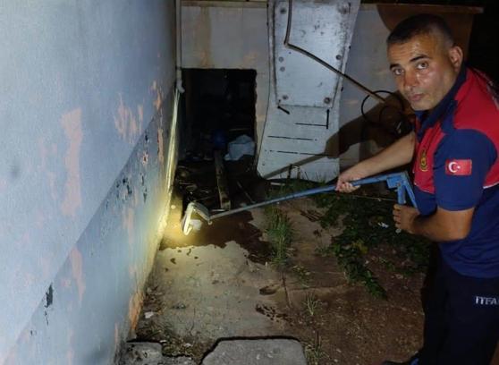 Adıyaman'da evin deposuna giren yılan, yakalanıp doğaya bırakıldı